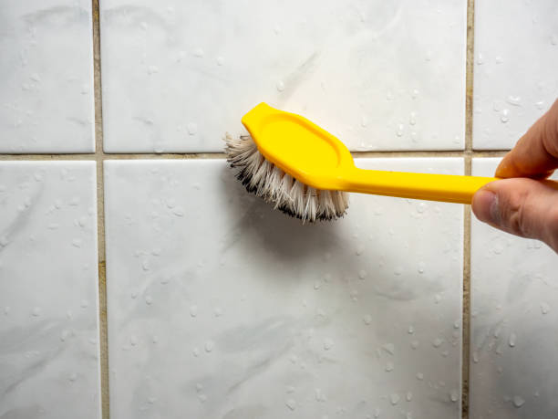 Best Health and Safety Mold Remediation in Upper Pohatcong, NJ